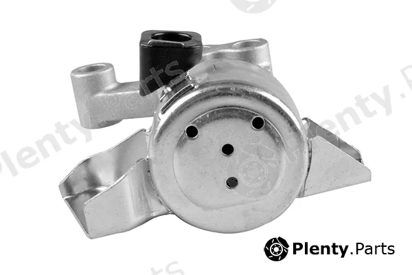 Tedgum TED93543 — Mounting, engine