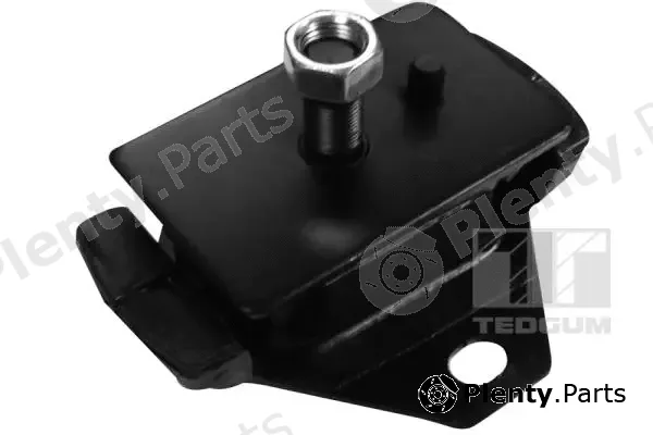 Tedgum 00672556 — Mounting, engine