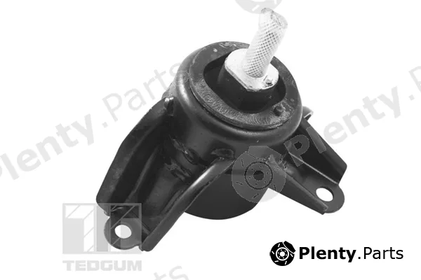 Tedgum TED95921 — Mounting, engine