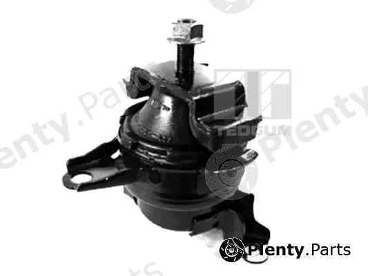 Tedgum 00263760 — Mounting, engine