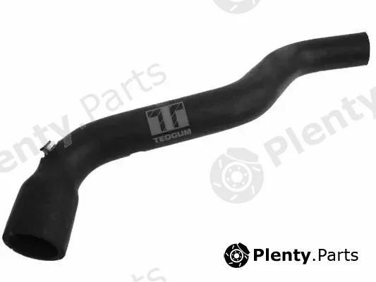 Tedgum 00582980 — Coolant Pipe