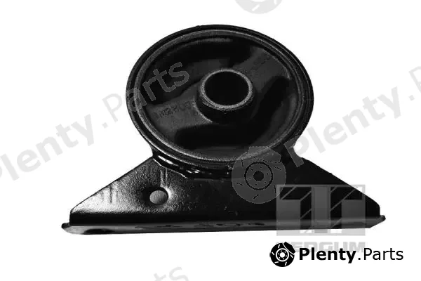 Tedgum 00282838 — Mounting, engine