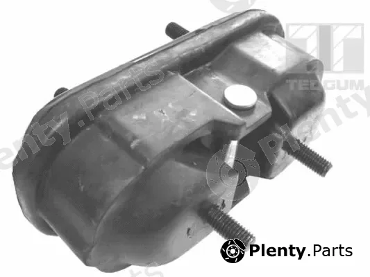 Tedgum 00541355 — Mounting, engine