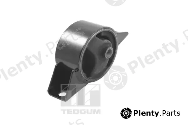 Tedgum 00461540 — Mounting, engine
