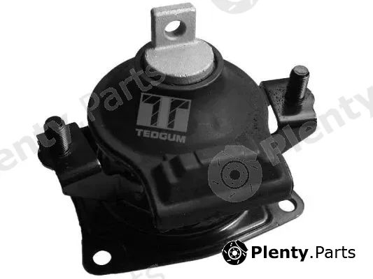 Tedgum 00263076 — Mounting, engine