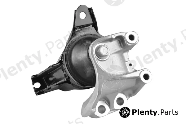 Tedgum TED52535 — Mounting, engine