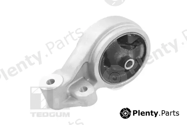 Tedgum TED11899 — Mounting, engine