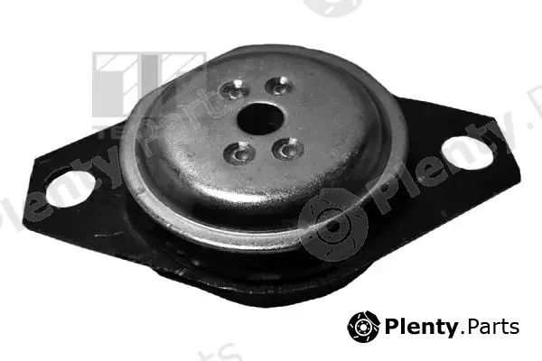 Tedgum 00210392 — Mounting, engine