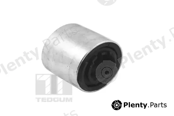 Tedgum 00084755 — Mounting, control/trailing arm