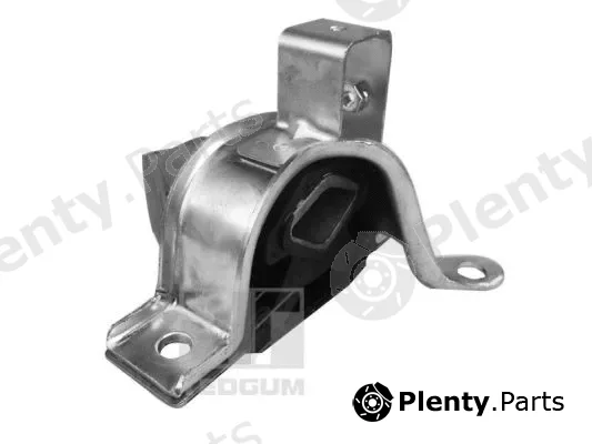 Tedgum 00219215 — Mounting, engine