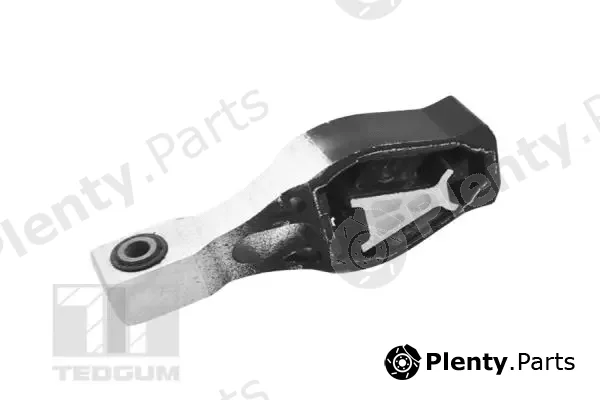 Tedgum TED57070 — Mounting, engine