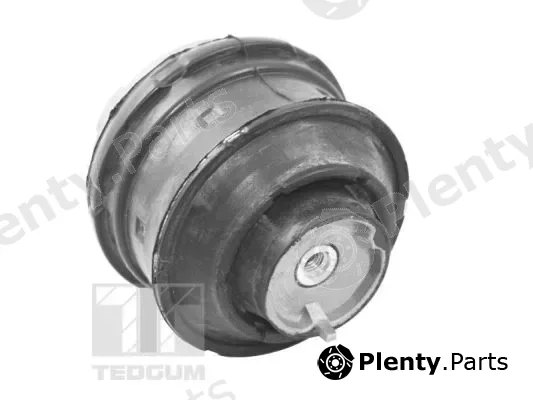 Tedgum TED72237 — Mounting, engine