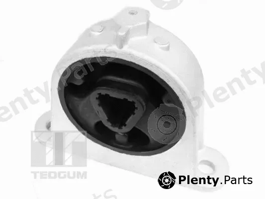 Tedgum 00138479 — Mounting, engine