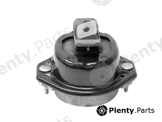 Tedgum TED36513 — Mounting, engine