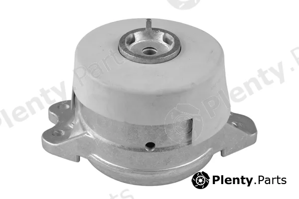 Tedgum TED42670 — Mounting, engine
