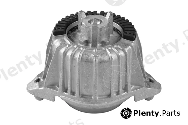 Tedgum TED13918 — Mounting, engine