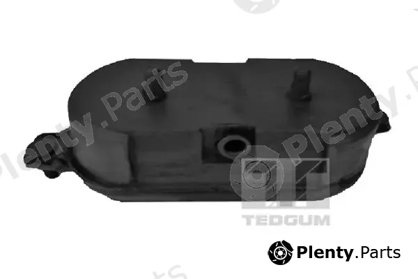 Tedgum 00106415 — Mounting, engine