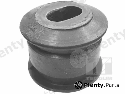 Tedgum 00133213 — Mounting, engine