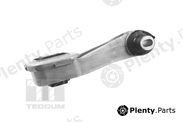 Tedgum TED72595 — Mounting, engine