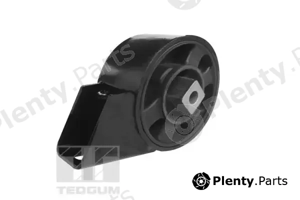 Tedgum 00120238 — Mounting, engine