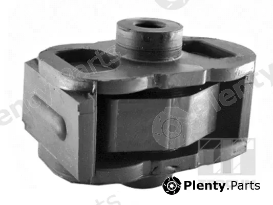 Tedgum 00461559 — Mounting, engine