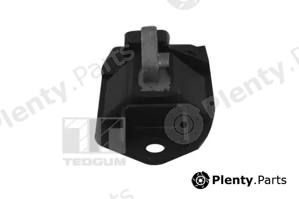 Tedgum 00748055 — Mounting, engine