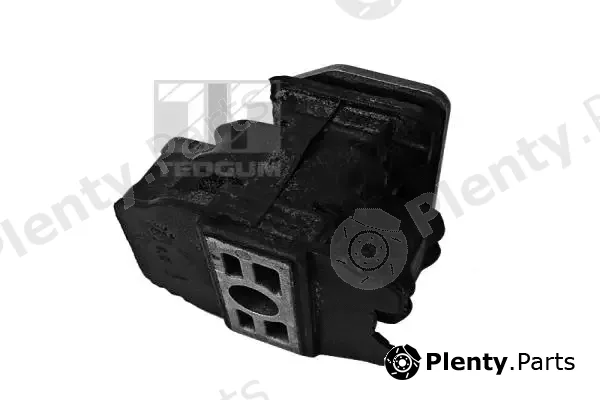 Tedgum 00740831 — Mounting, engine