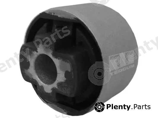 Tedgum 00213249 — Mounting, control/trailing arm