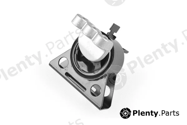 Tedgum 00129525 — Mounting, engine