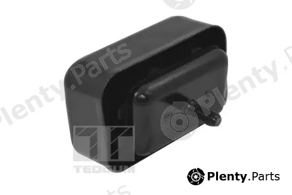 Tedgum TED41316 — Mounting, engine