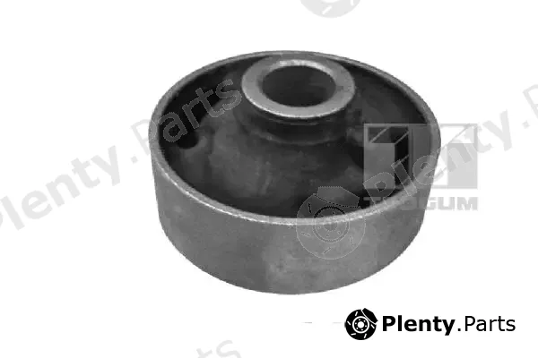 Tedgum 00191321 — Mounting, control/trailing arm