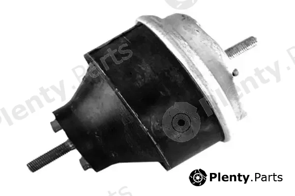 Tedgum 00053359 — Mounting, engine