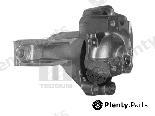 Tedgum 00269468 — Mounting, engine