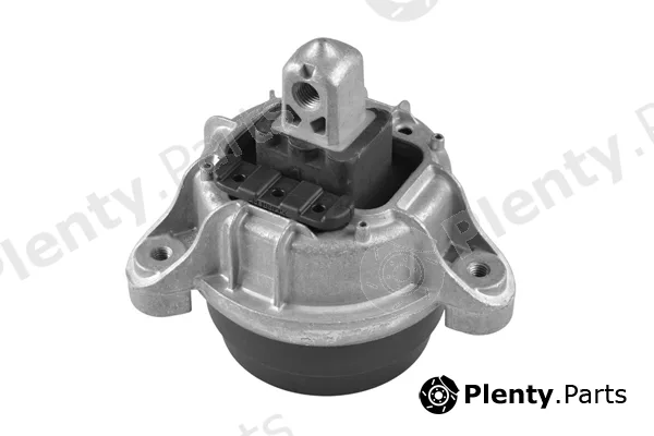 Tedgum TED97460 — Mounting, engine