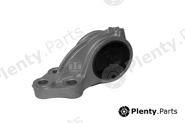 Tedgum 00392491 — Mounting, engine
