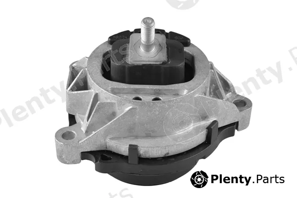 Tedgum TED38660 — Mounting, engine
