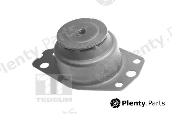 Tedgum TED96035 — Mounting, engine