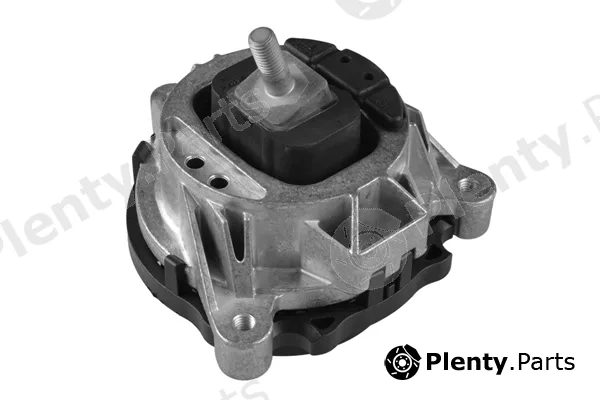 Tedgum TED52401 — Mounting, engine