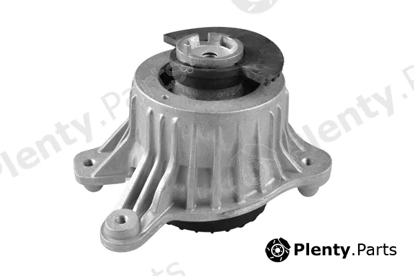 Tedgum TED98110 — Mounting, engine