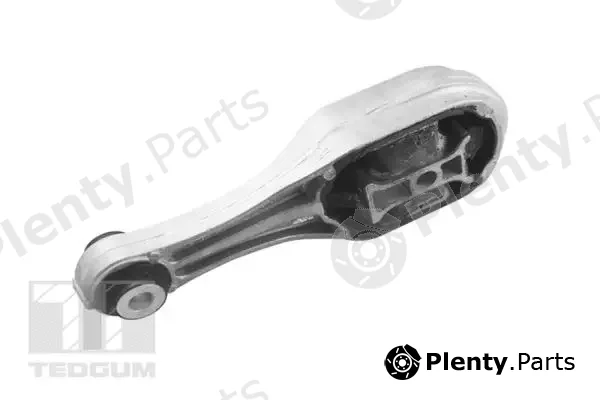 Tedgum TED98422 — Mounting, engine
