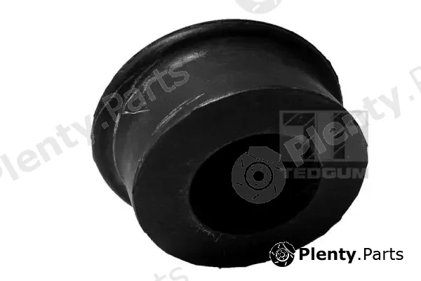 Tedgum 00050880 — Mounting, engine