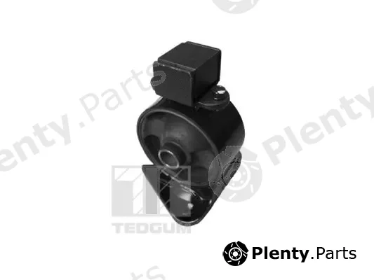 Tedgum 00280053 — Mounting, engine