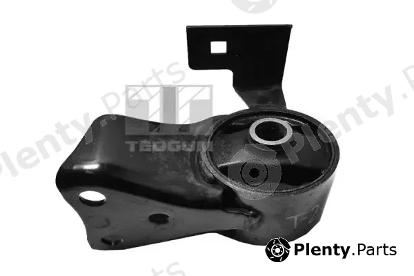 Tedgum 00397080 — Mounting, engine