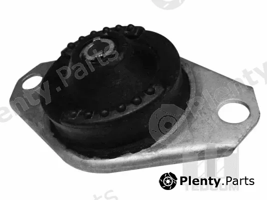 Tedgum 00215723 — Mounting, engine