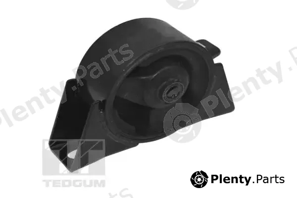 Tedgum TED15454 — Mounting, engine