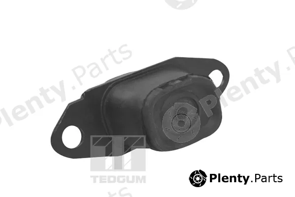 Tedgum TED15980 — Mounting, engine
