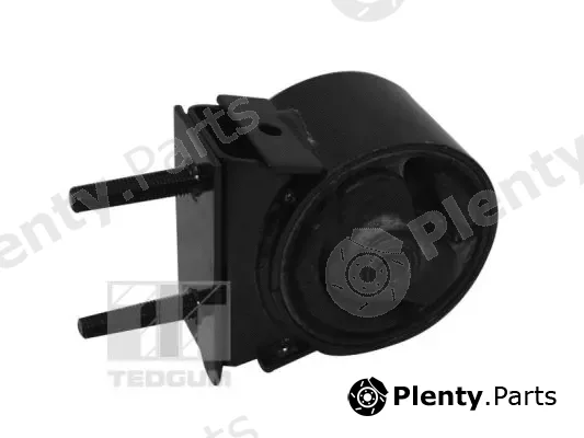 Tedgum TED15320 — Mounting, engine
