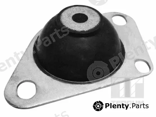Tedgum 00216214 — Mounting, engine