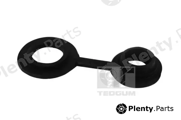 Tedgum 00581389 — Bushing, axle beam