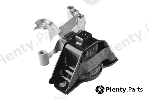 Tedgum TED49619 — Mounting, engine
